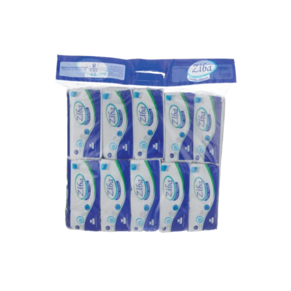 دستمال اقتصادی بسته 10 عددی 200 برگ زیبا-فروشگاه اریسا