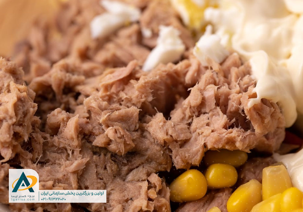 خرید عمده تن ماهی