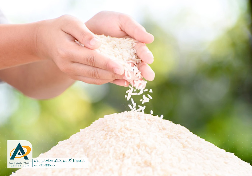 برنج خوب برای نذری