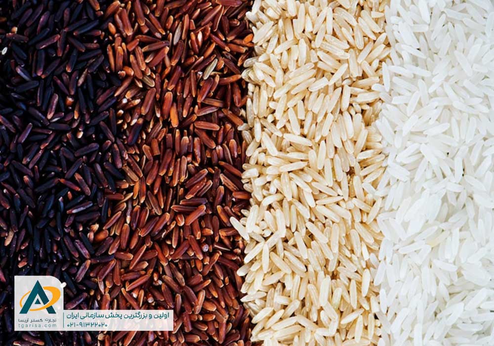 انواع برنج ایرانی