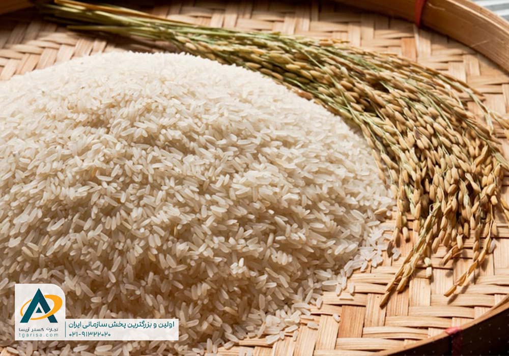 انواع برنج ایرانی