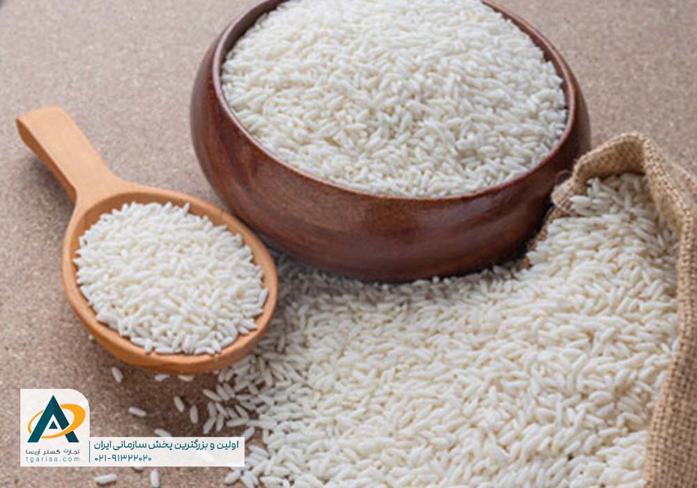 انواع برنج شیرودی