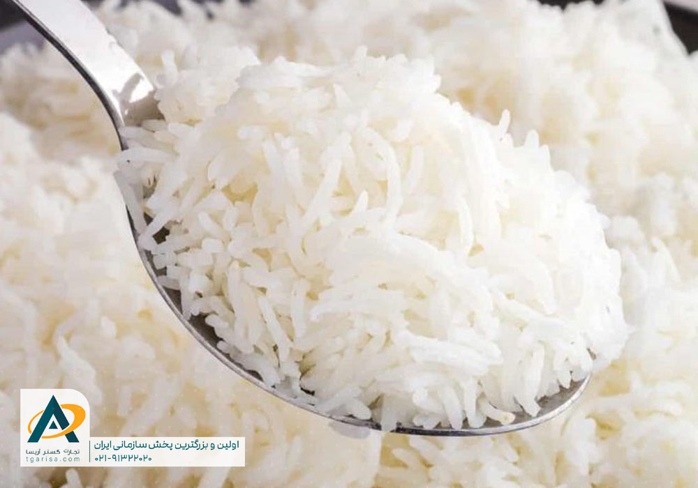 انواع برنج شیرودی