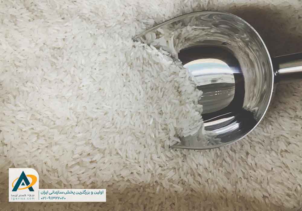چگونه برنج مرغوب را تشخیص دهیم