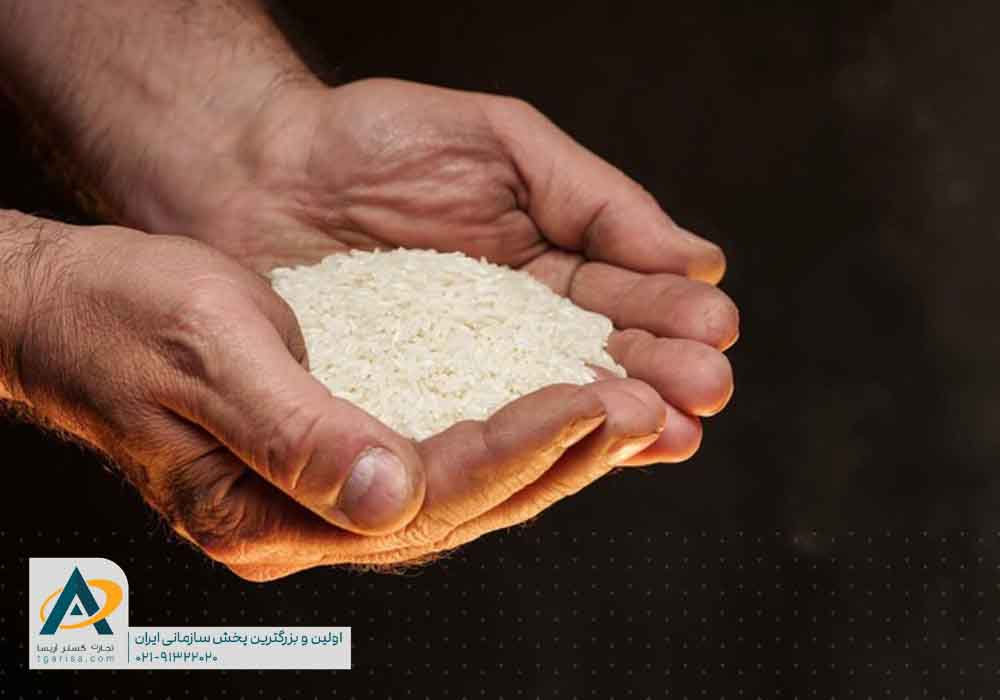 چگونه برنج مرغوب را تشخیص دهیم